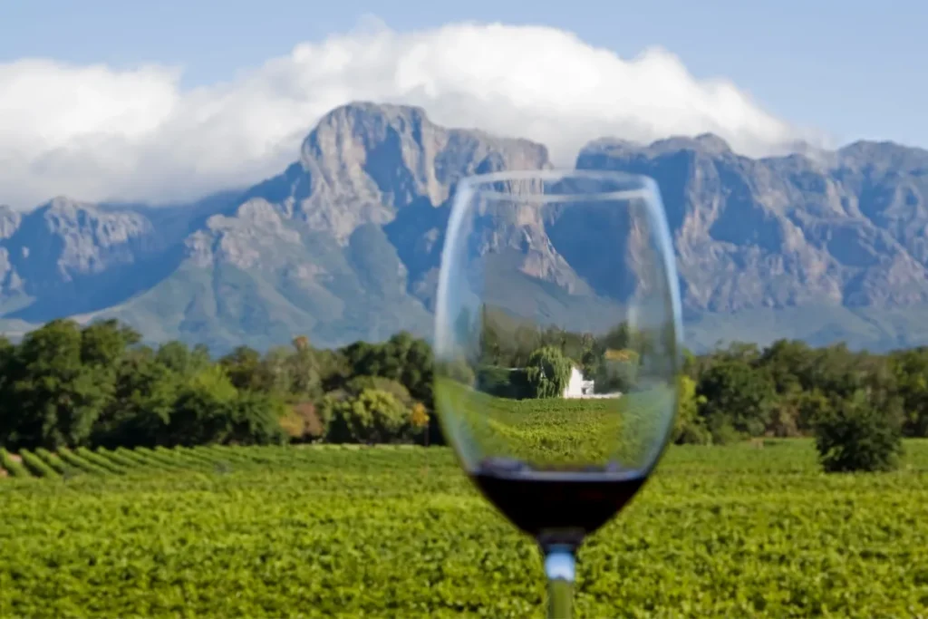 A wine glass in front of the Stellenbosch mountains